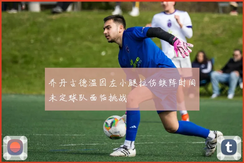 乔丹古德温因左小腿拉伤缺阵时间未定球队面临挑战