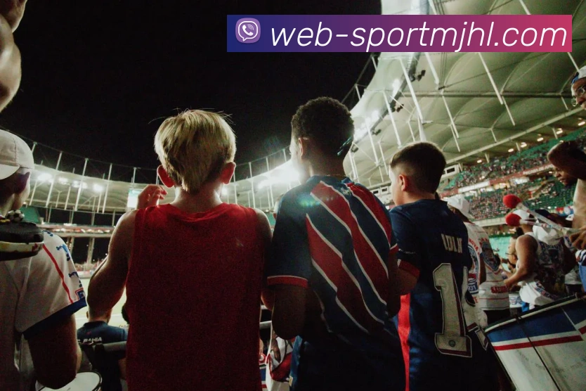 多媒体互动体验